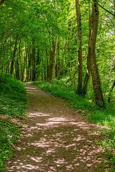 La boucle talmontoise