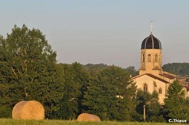 Bois de Couvandières