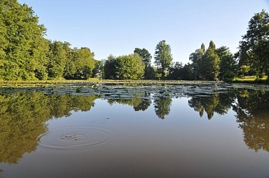 Le huit pour flâner