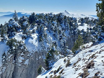 Sentier raquettes : de la Catheline au Crêt de la Neige