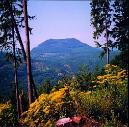 Trail du Wurzel | Le 20 mai 2012 à Villé