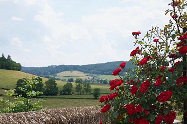 Randonner à Lucenay