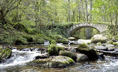 Les gorges de la Monne