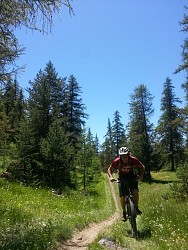 N°63 Grand Bois des Bans