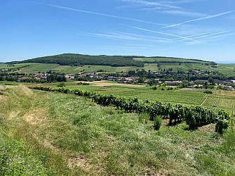 Le Val d'Azé, entre vignes et bocages