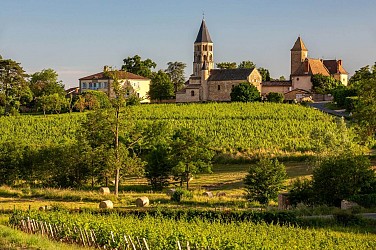 Entre blanc et rouge - Chânes