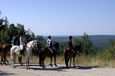 Tour du Tarn à cheval : Lisle-sur-Tarn / Puycelsi