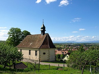 Circuit vélo du Sundgau n°3 : In the ponds land