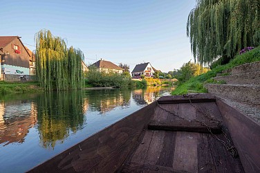 Bike tour : The Ried on a bicycle