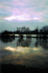 Le sentier de la gravière