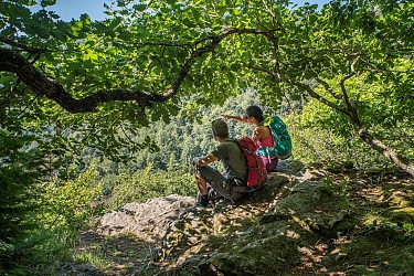 Circuit de randonnée 2 jours : Osenbach - tour du Petit Ballon