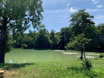 Health walk Aspach-Michelbach - Roderen