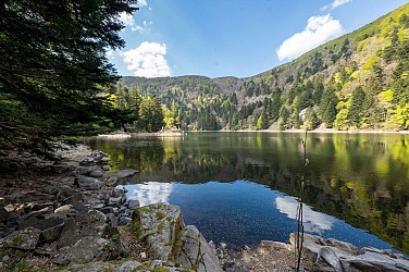 Parcours Trail : Le Gaschney - Circuit des Marcaires