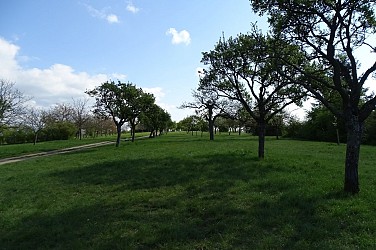 Bastberg Nature Trail