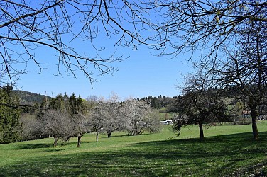 Circuit rando B19 : Au fil de l'eau
