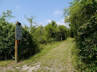Promenade le long du Sentier des Turcos