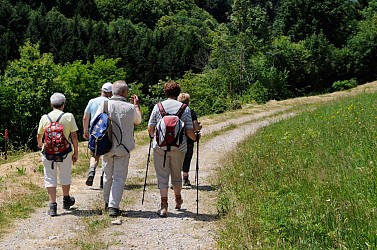 Balade circulaire autour du Grand Wintersberg
