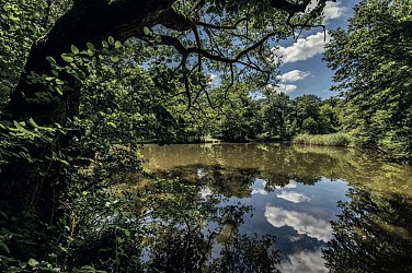 Le sentier d'accès au GR®532