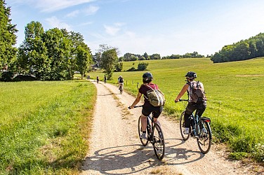 Circuit Gravel du Sundgau 51 km le Pays des étangs