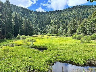 Hiking tour - from Orbey to the summit of the Tête des Faux
