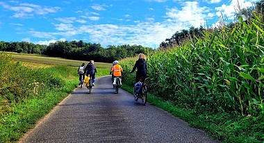 Cycling for all - Ill Valley and Sundgau Plateau