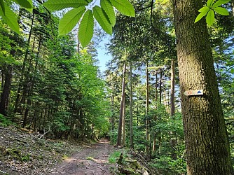 Circuit du Gauxberg variante anneau rouge