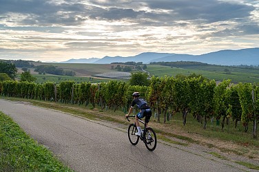 9.Au fil des Champs - Gravel