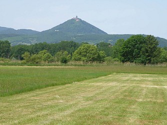 Hiking tour - in the Ill*Wald forest