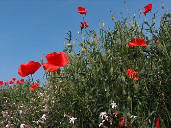 Hiking trail to the Dreispitz
