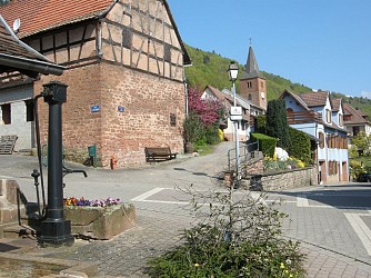 Des Vosges du Nord à la Route des Vins - Véloroute du vignoble