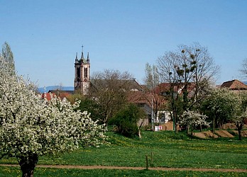 A la découverte de Sausheim