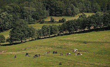 Hiking trail B10: The balconies of the Bruche valley