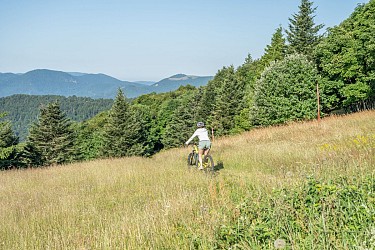 The Markstein FFC No. 30Mountain Bike Route