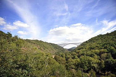 Tour du Tarn à cheval : Jouqueviel / Sainte-Gemme