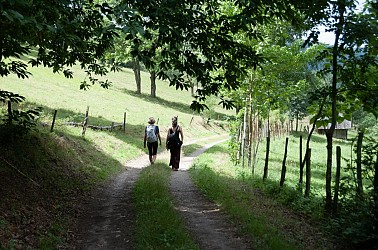 Walk - Between vineyards & orchards