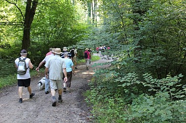 Sentier pédestre : Les Berges du Rhin