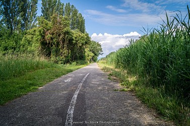 Escapade à Colmar - De Neuf-Brisach à Colmar