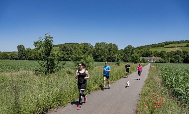 Piste cyclable - Nordheim / Kirchheim