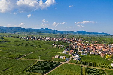 parcours Géovino Bennwihr - Mittelwihr