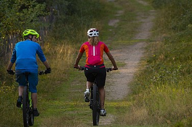Mountain bike trail 12 - Vineyards of Kientzheim and Sigolsheim