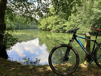 Donnenbach lake loop