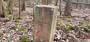 Hiking around the Wurmberg - east path