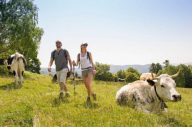 Crossing of the Grand Ballon massif by the GR5