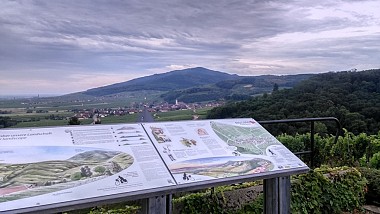 Stopover in Itterswiller: vineyard and belvedere