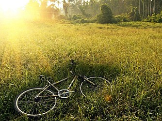 De Dossenheim à Saverne