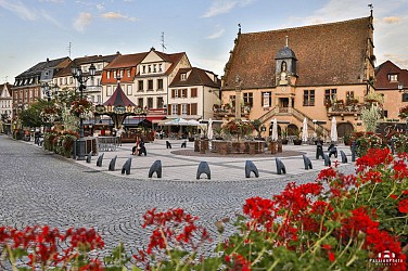 Search for magic words - Molsheim