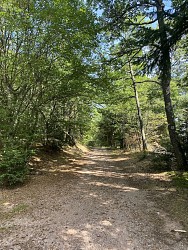 Mountain bike trail 10 - Trois-Epis