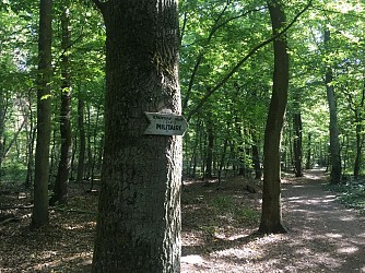 Le grand circuit de Stocklach