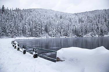 Snowshoe hiking : Tour 1 Lac Vert