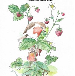 Sentier illustré des plantes sauvages